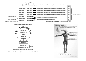 0004 ප්‍රසාද ඇසුරු කරගෙන පහල වන සිත් 89.png